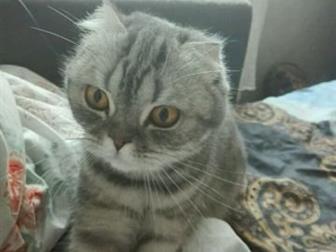     ,     ,      