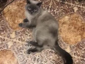  ,   1 , ,     ,  