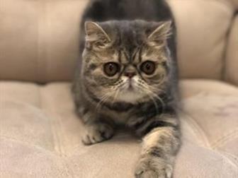       ,  ,  ,   ,   ,      ,  