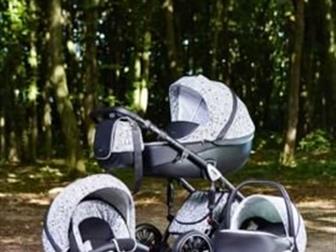   anex sport 31,     , : /  