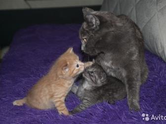   1 ,  ,   ,  ,  