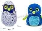 Hatchimals   