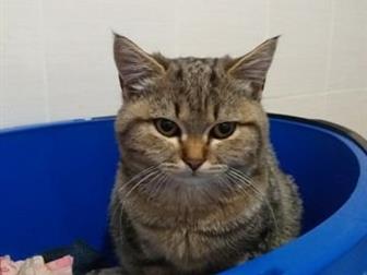 ( ), 6 , ,    ,    ,  , ,     