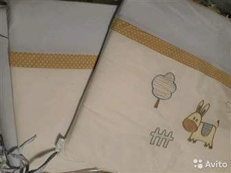    Lappetti  /  --  ,    ,   :* *  *     