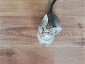  ,        ,         ,   ,       ,     