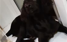    :)