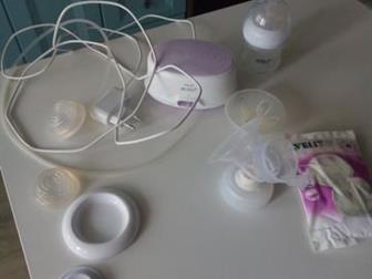    Philips avent   ,    ,   ,  : /  