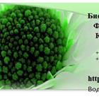 : Bacti-bio ( ), Bioremove ()