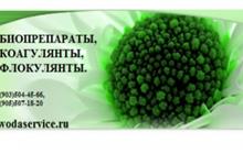 Novozymes BioRemove BioRemove 4200 
