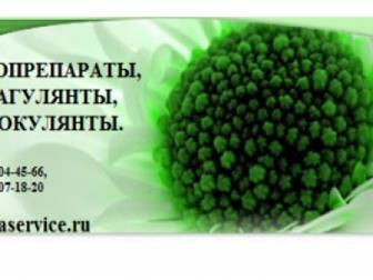    Novozymes BioRemove BioRemove 4200      37847597  