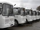Просмотреть изображение Спецтехника Аренда автобусов ПАЗ на 24 сидячих места 68046640 в Москве