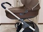  Stokke cruzi 21