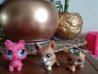 Littlest Pet Shop