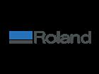 ������� ��������� ����  ��� 24 ����������� ����� Roland 76798135 � ������