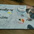 Aquafloor stone