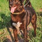 �������������� ������� ���� � ���