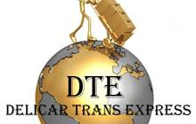   Delicar Trans Express DTE