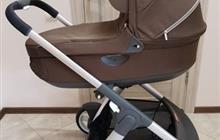  Stokke cruzi 21