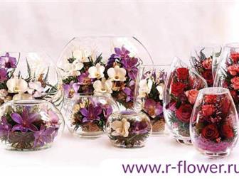    R-Flower -     34517705  