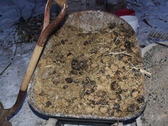    ,  , ,  , , 38738831  -