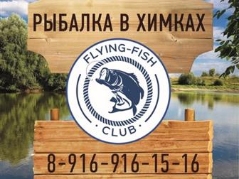       flying-fish club 38998893  