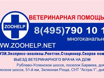      Zoohelp 39168438  