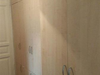  foto   ,    3- , 43861865  -