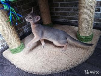      2  !      ,  ,   ,  - ,     ,  
