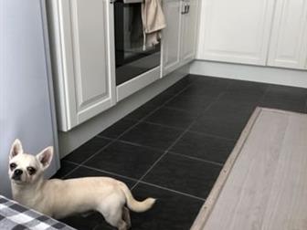 ������ ����� ������ �����,  � ������ ��������,  �������� 9 �������,  ���� ���������,  ���������� ��� ��������, � ������