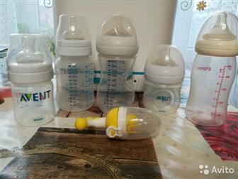     Philips Avent 3  1,   ,         ,  ,  