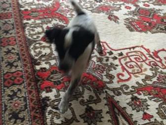 �� ������������� �����  ����� ����� ������� 3 ������, ����� ���� ������ ������, �������� � ������� � � �����, ������� �� ��������, ����� ������ � ��� ��� ����������� � ������