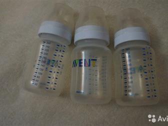   AVENT,   3- ,   ,     100,      ,       -  