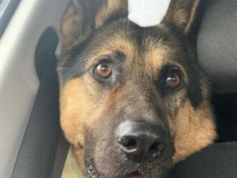 3-4 ����, �������� ������� ����� ���� ���, ������� ��������,  ��� ������ ��������, � ������