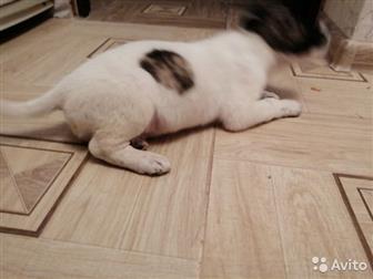 ����� �����, 2 ������ �����, ���� ������ ������ � ������