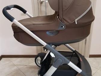   (  ) stokke cruzi,    -   ! -!          