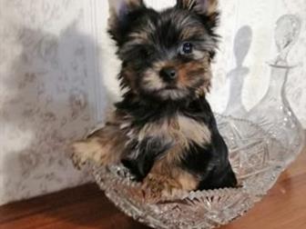 ��������� �����������,,������� ������������ �������, ����������� ������,����� ��-������, �������� �� ��������,����� ������,������� ����������,��������� ���,  �������� � ������