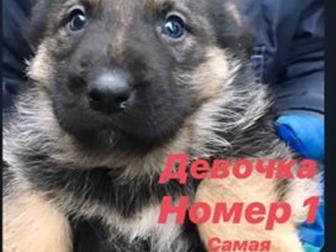 �������������� �����!� ����� ��������� ���� 10 ������ �������� 4 �����,  ��� �������,  ���� - ���������� ��������-����������� �������,  ����� �����, �����������, � ������