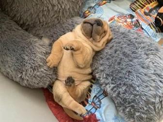 �� ���� ���������� ������ �������� ��������� ������������ ������ ������ ,  ����� �������� �� ��������, ������������,  ���� ��������, � �������,  �������� �������, � ������