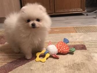 �� 2 ������Ÿ ���� ������ 10 � ,  �������� ������� �������,�������� ��� ���� , ���,��������,  ��� ����� 800 ������������ ��������� � ������