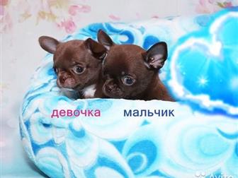 � ������� �������������� �������� �-� �������� � ��������� ���������� ���������� (���, ������� ��������������), �� ���� ������ ���,  �� ��������� ����� �������� � ������