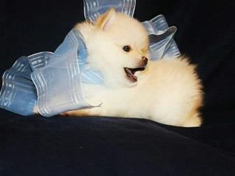 ���� � ������