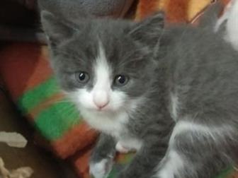     ,  17 , , ,   