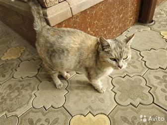    ,        ,    ,    )))  