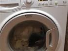   Hotpoint Ariston 6 