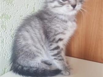      ,   20 ,     !         