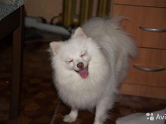     ,  1  7    !  ,  ,   !   