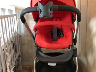 Stokke crusi,  ,         ,  2  1!!!  : , ,    ,  