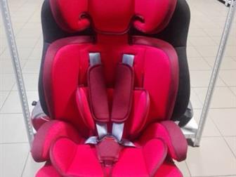  Teddy Bear ZY Isofix       ,         ,   