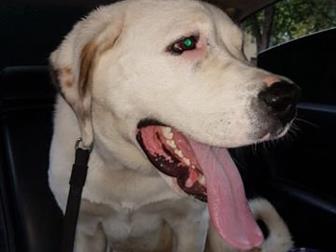 �������, �� ����� ������ ������� ���� ??��� ������� ��� ���������� �������� �� ��� ����� �����, � ������ ������������, ���� �� ������� - ����� ����������� � �����������, � ������������