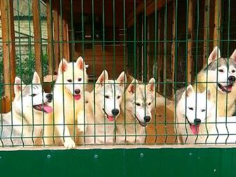 ������ ����� ������� �����,3 ������,���������,������,��������, �����������,��������,�������� ������,����� ��������� � ����������,������������� �� �������, ��������� � ������������